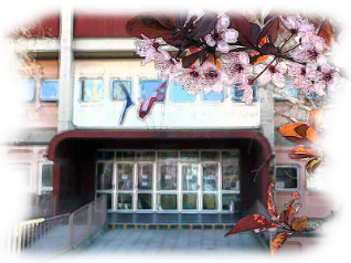 La biblioteca
